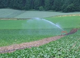 irrigation_021.JPG