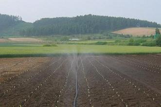 irrigation_025.JPG