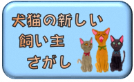 新しい飼い主捜し