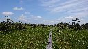 201023bifuka_matsuyama_s.JPG