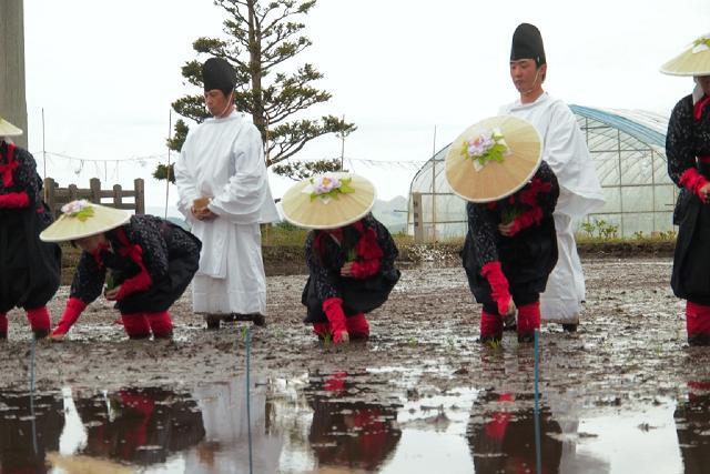 神撰田お田植え祭.jpg