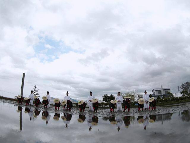 神撰田お田植え祭.jpg