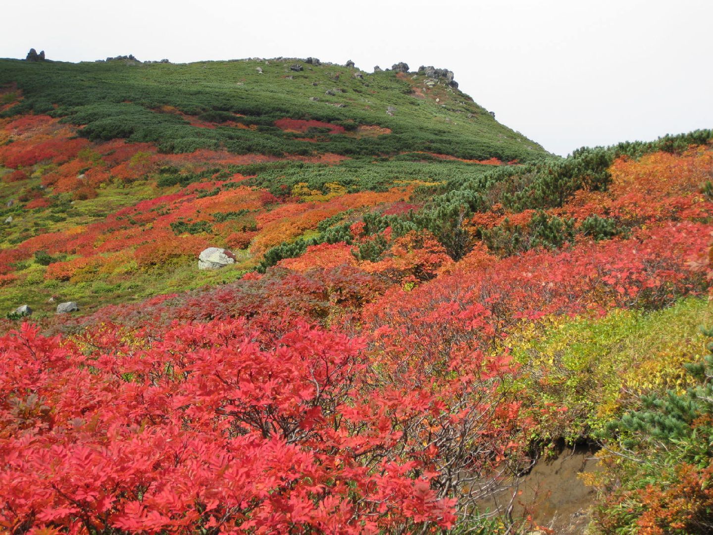 赤岳第3雪渓付近.JPG