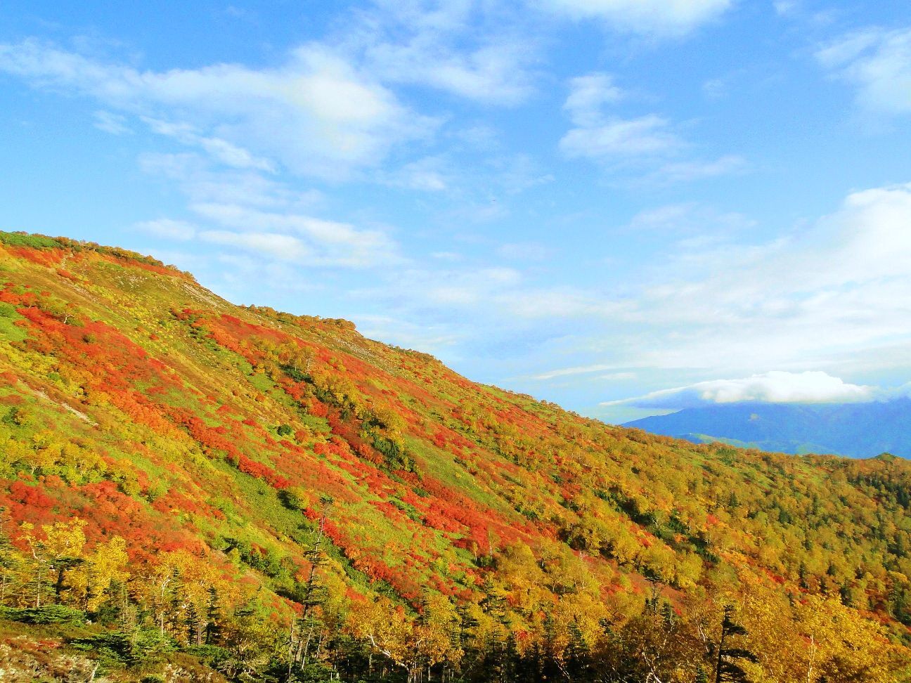 銀泉台紅葉.JPG