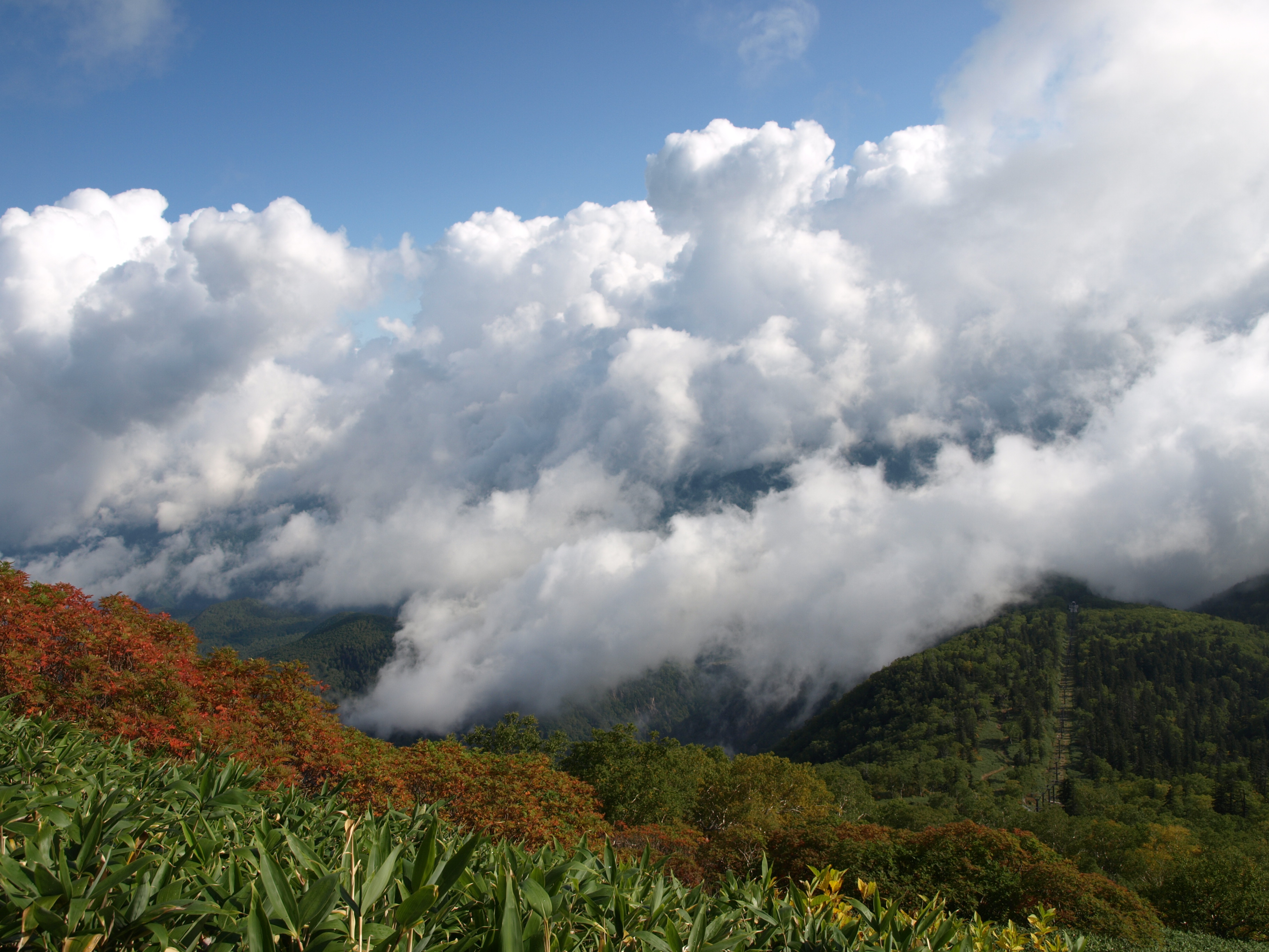 黒岳と雲.JPG