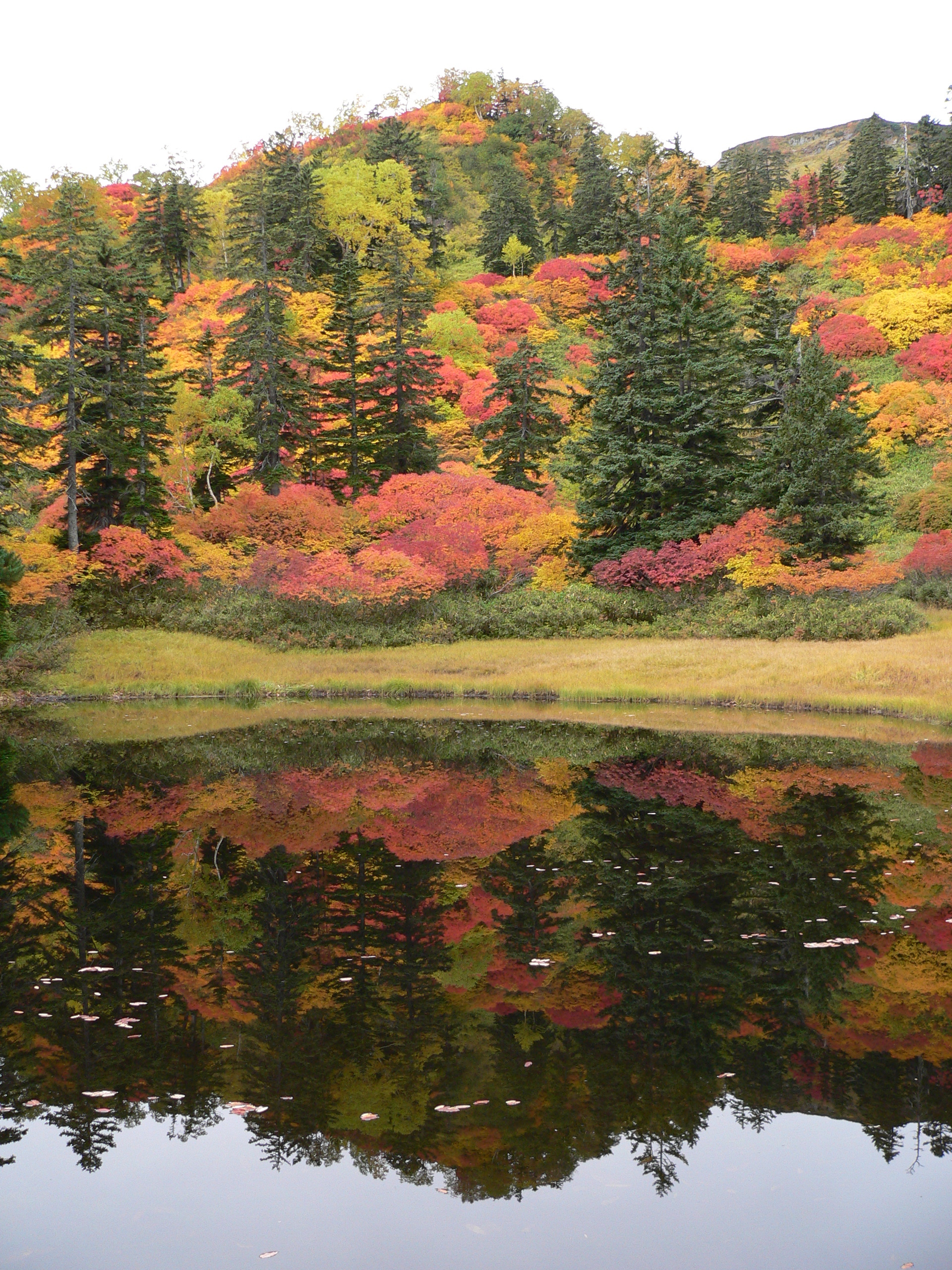 高原温泉の紅葉1.JPG