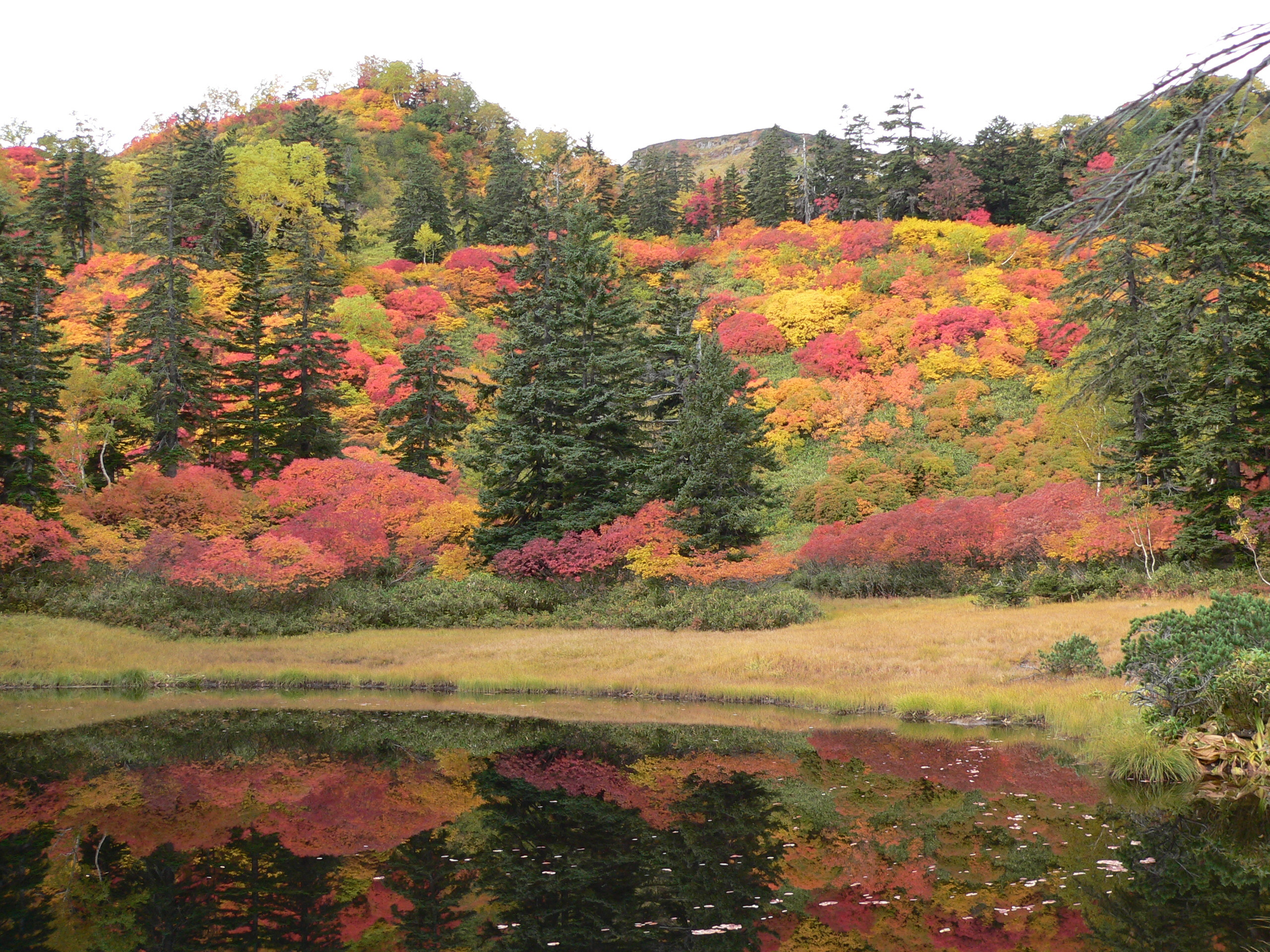 高原温泉の紅葉2.JPG