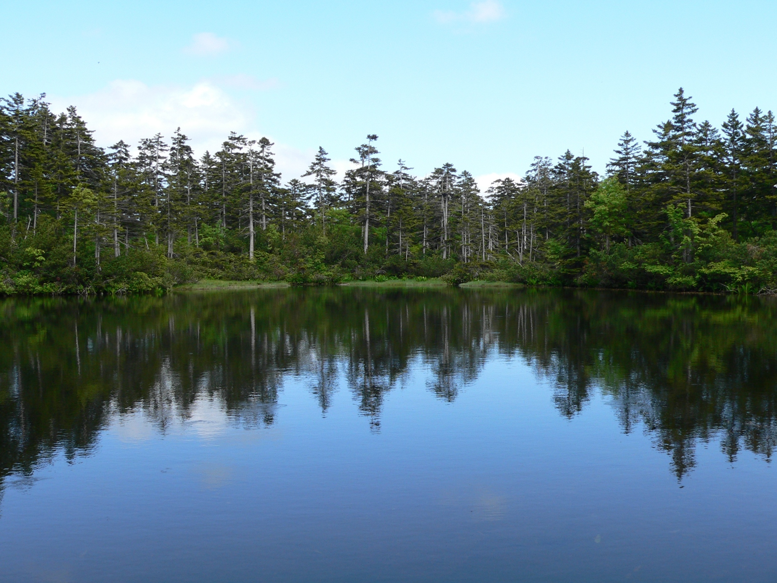 夏の高原温泉.JPG