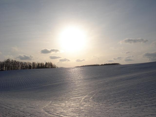 雪上の畝.jpg