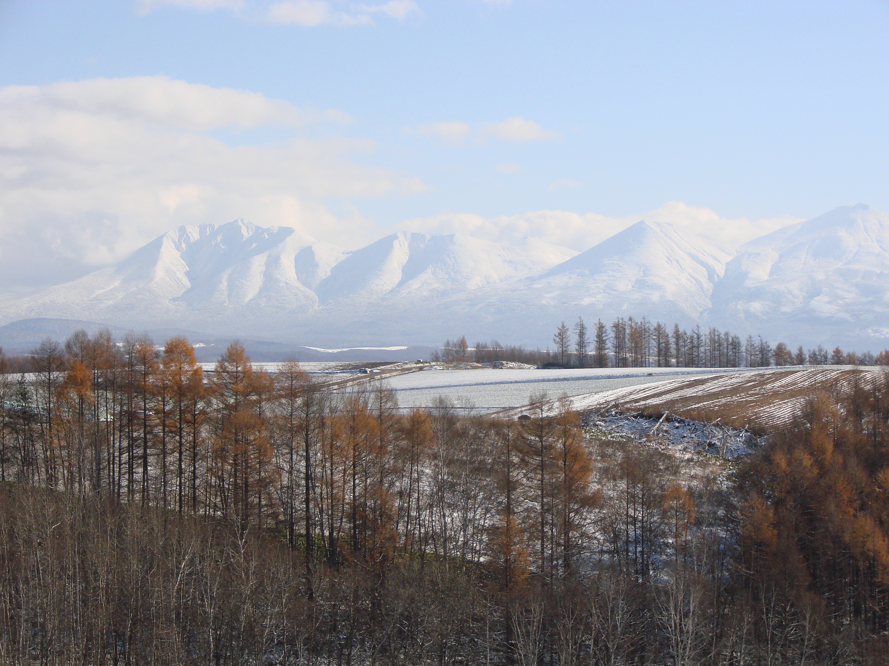 雪化粧.JPG