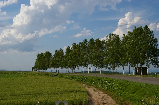 並木 上川総合振興局地域創生部地域政策課