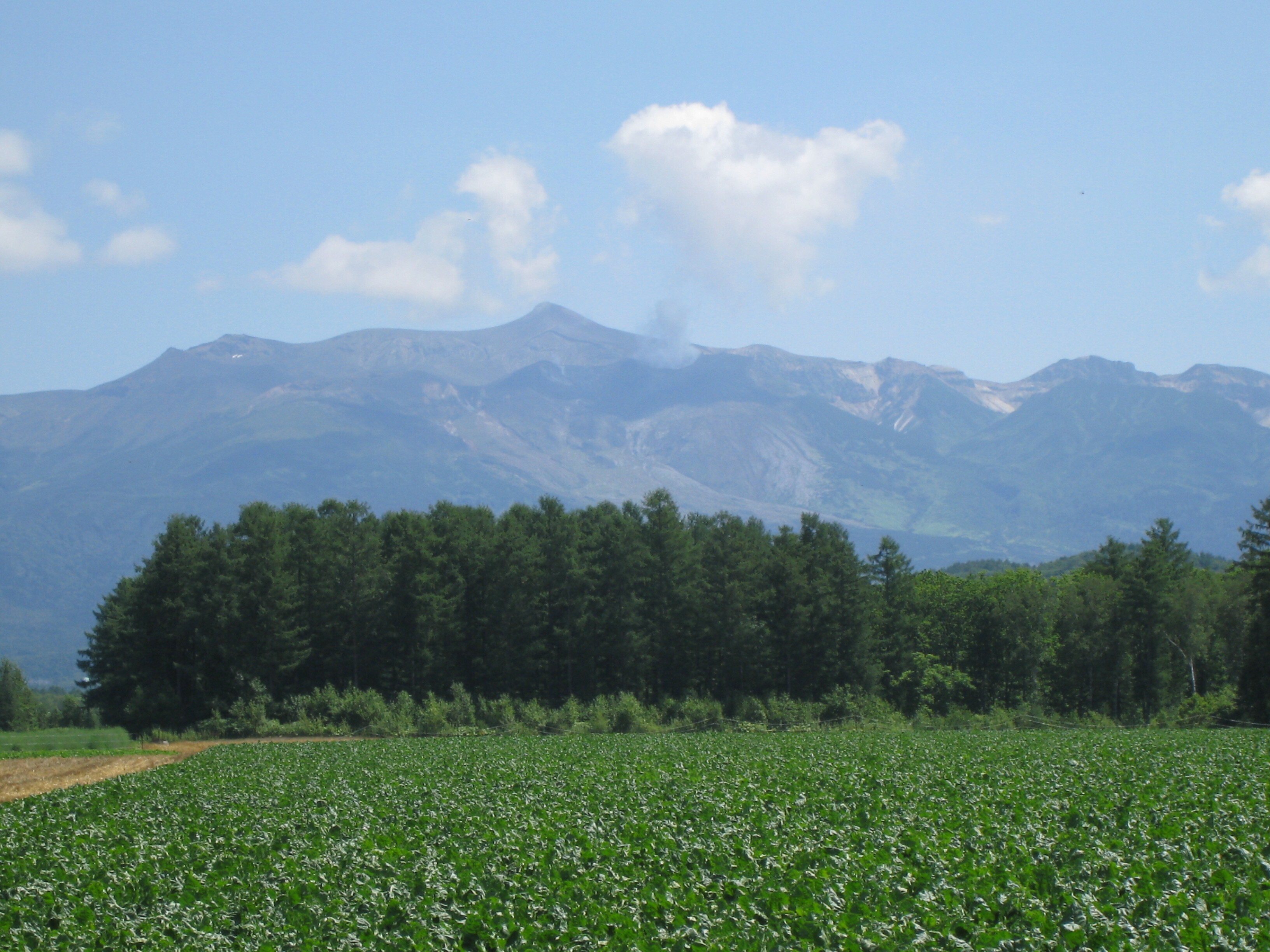 十勝岳連峰1.jpg