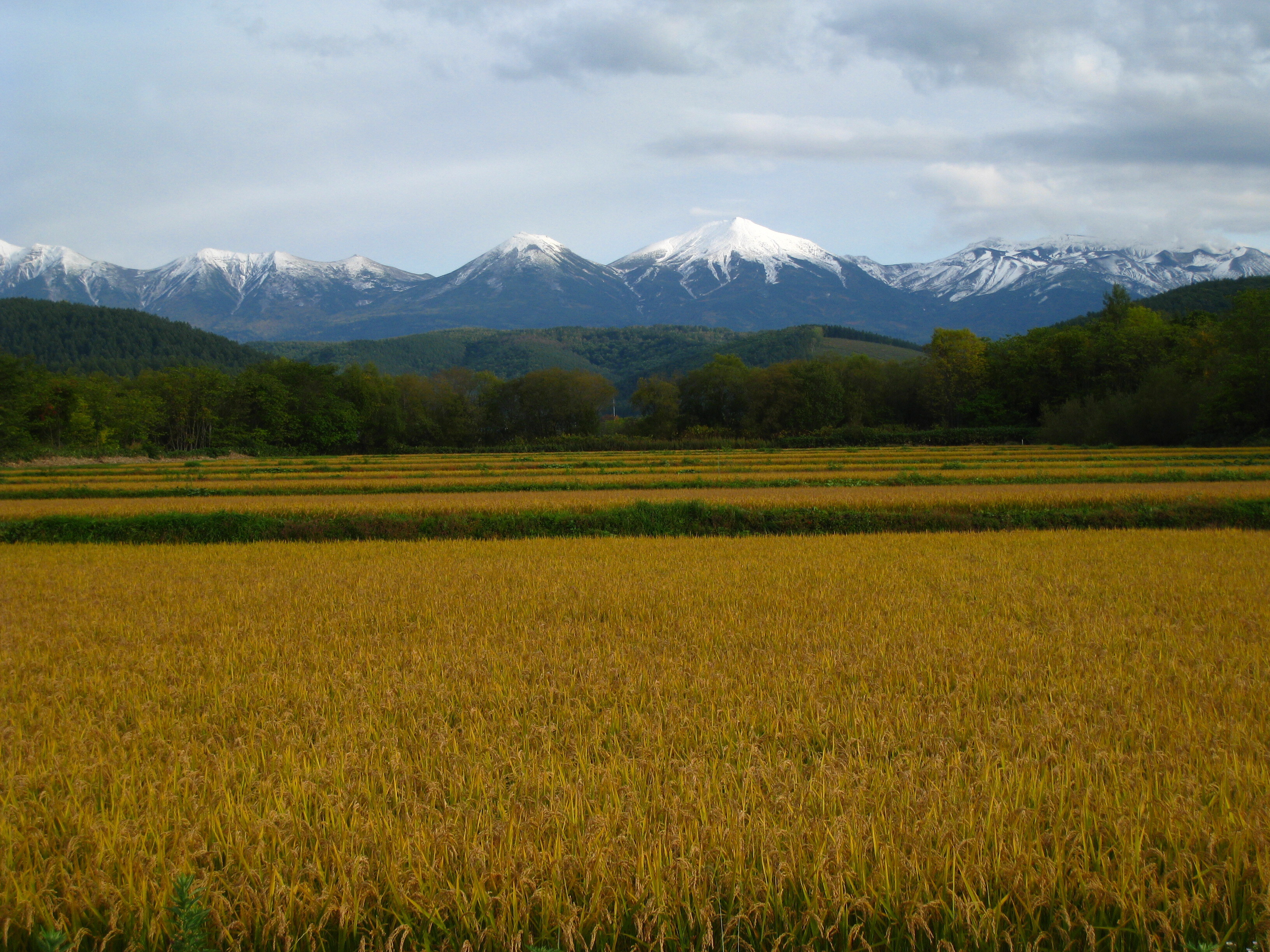 十勝岳連峰4.jpg