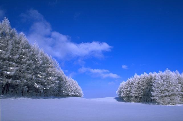 冬の風景.jpg