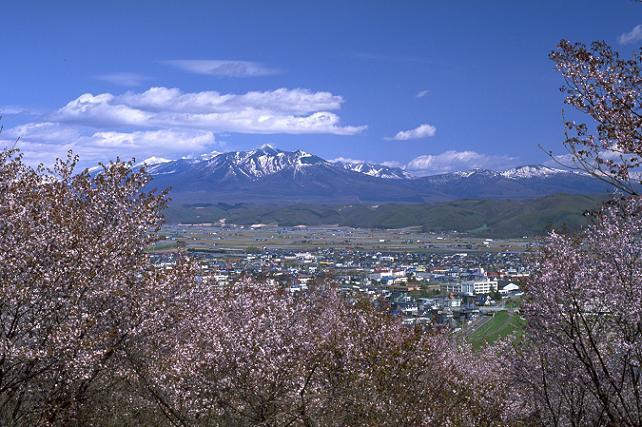 朝日ヶ丘公園(通称なまこ山).jpg