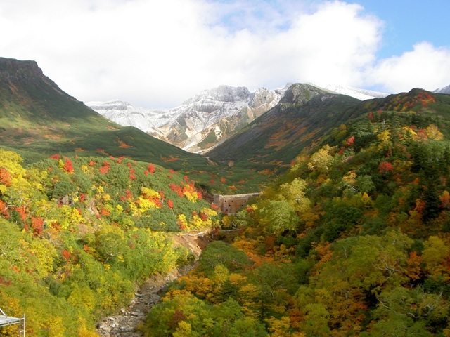 十勝岳紅葉.jpg