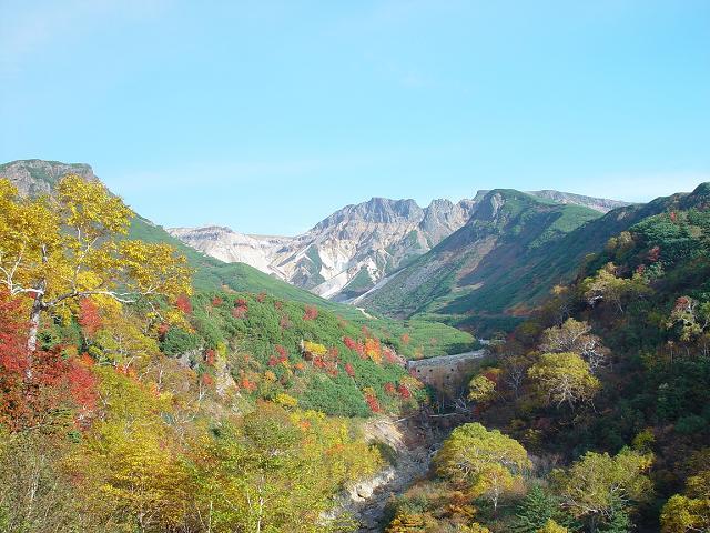 紅葉と十勝岳連峰.jpg