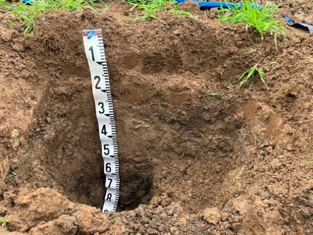 土壌断面調査の様子