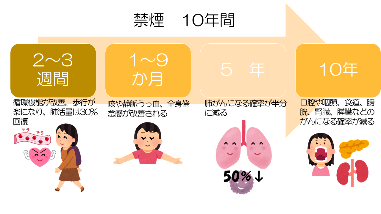 1分禁煙するとたばこのダメージから回復しようとする機能が働き始め、1日禁煙をすると心臓発作の確率が減り、5年禁煙すると肺がんになる確率が半分に減ります