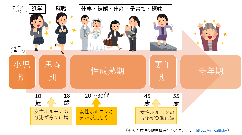 女性ホルモンは10歳から18歳までの思春期に徐々に分泌が増え、性成熟期の20代から30代で最も多く、45歳くらいからの更年期に徐々に減少していきます。女性のライフステージにおいて、思春期以降には、進学、就職、仕事、結婚、出産、子育て、趣味など様々なライフイベントが起こるなか、子宮頸がんは性成熟期、乳がんは性成熟期後期から更年期にかけて多くなります。