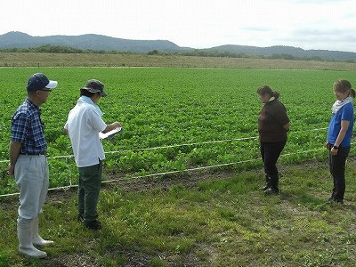 小豆の状況を確認