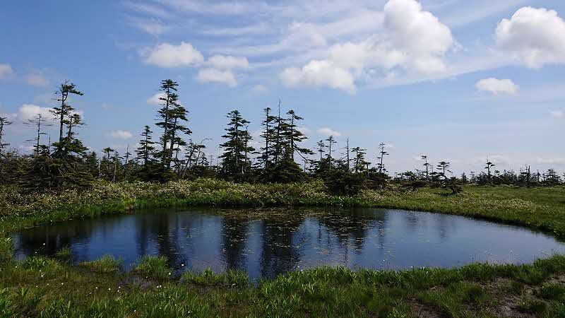 松山湿原