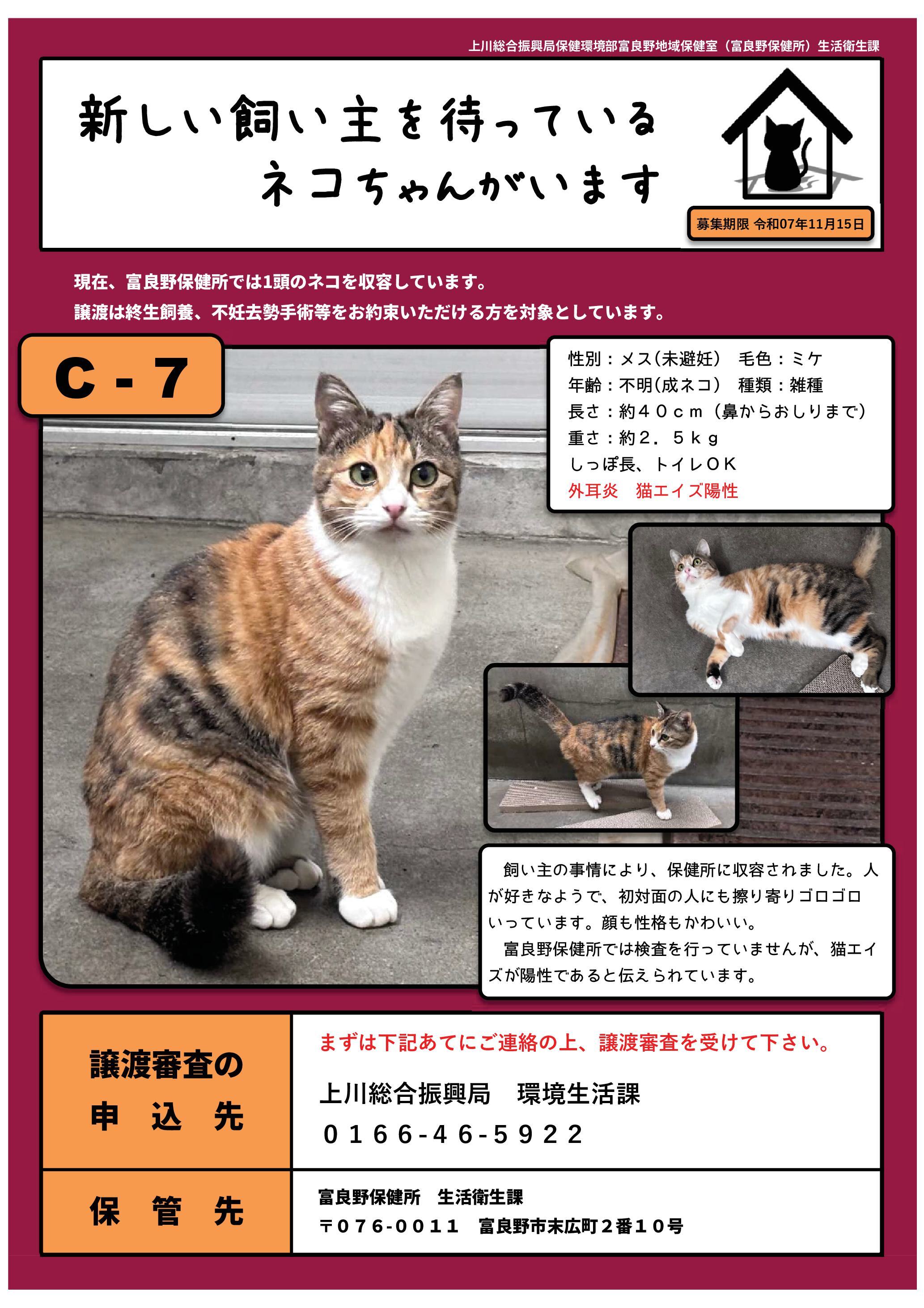 飼い主募集ポスター